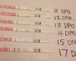 triphasic chart then bfp at 11 dpo