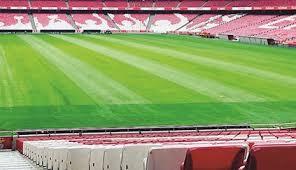 Benfica Faz Mudancas Nas Bancadas Da Luz Para O Regresso Do Futebol Futebol Correio Da Manha