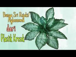 Diy Cara Membuat Bunga Sri Rejeki Aglonema Dari Plastik Kresek Youtube Plastic Bag Crafts Paper Flowers Ornament Tutorial