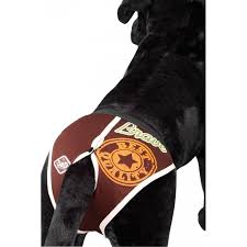 Man trennt die tiere oder es lebt sogar nur eins im eigenen haushalt, aber in der nachbarschaft jault das pendant. Hunde Dog Pants Schutzhose Bei Laufigkeit Von Dream And Dare Gunstig Bestellen Tiierisch De