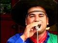 Brazilian gaucho music (in portuguese música gaúcha brasileira or música nativista) denotes the traditional music. Descargar A Mp3 Baixar Musica Gaucha Gratis Fullbulla Org
