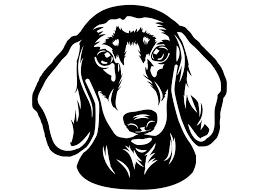 Dachshund 32 Dog Breed Wire Smooth Long Haired K 9 Animal Pet Etsy In 2021 Dog Outline Dog Drawing Photoshop Backgrounds