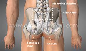 Back definition, the rear part of the human body, extending from the neck to the lower end of the spine. Prolotherapy For Back Pain Caring Medical Florida
