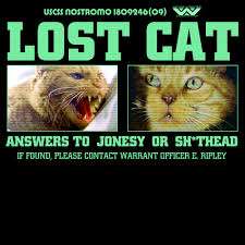 Lost Cat Inspired By Alien Classic T Shirt By Wonkyrobot Lost Cat Alien Cats