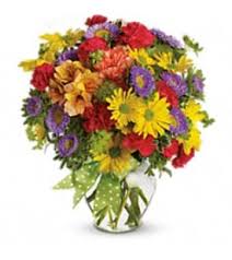 Check spelling or type a new query. Tiffin Oh Florist Free Flower Delivery In Tiffin Oh Tom Rodgers Flowers