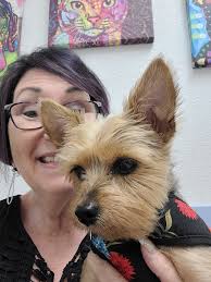 Do dogs drink less water when fed homemade food?