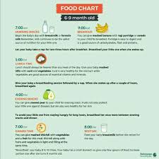 Diet Chart For A 6 Months Old Baby