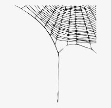 Spider Web Png Pic Spider Web Transparent Background Png Image Transparent Png Free Download On Seekpng Find over 100+ of the best free spider web images. spider web png pic spider web