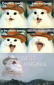 50 Best Memes On Reddit This Past Week 11 18 11 25 Memes De Animais Hilarios Memes Engracados Do Cao Memes De Animais Fofos