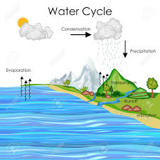 Education Chart Of Water Cycle Diagram