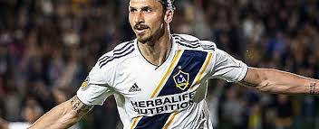 Jersey shore italy pictures() pingback: Zlatan Ibrahimovic Schweden Und Man Utd Trikots T Shirts Von Subside Sports