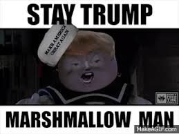 Your browser does not support the video tag. Stay Trump Marshmallow Man On Make A Gif