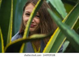 Big Alo: Over 3,082 Royalty-Free Licensable Stock Photos