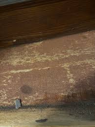 Image result for site:byggahus.se lim