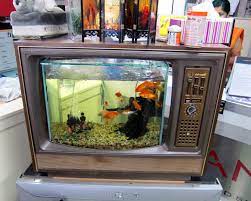transpress nz fish tank tv set fish tank coffee table cool fish tanks fish tank table