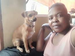 Large white dog with brown ears