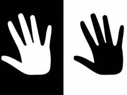 Take My Hand Black And White Google Black And White Design Black And White