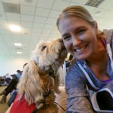 Airports use pet dogs to calm jittery flyers: Travel Weekly