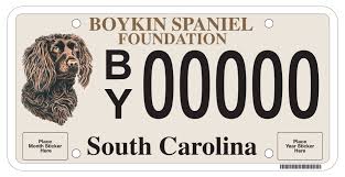 14 to 18 inches at the shoulder weight: Boykin Spaniel Used For Hunting And Companionship Boykin Spaniel Spaniel Boykins