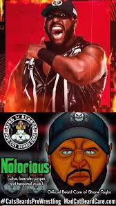 Do you want your beard to kick as much ass STP and the @ringofhonor bad ass  Shane Taylor?? Get yourself some “Notorious” beard oil and beard balm  today! It’s the OFFICIAL beard care of @shane216taylor ...