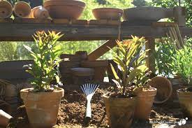 Wir sind internetagentur, designstudio und werbeagentur in einem und bieten ihnen optimale lösungen für ihre unternehmenspräsentation. Neu Individueller Gartenworkshop Blickpunktgarten