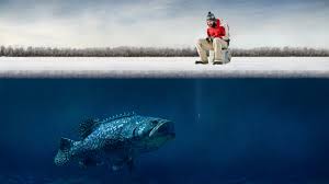 If you're looking for the best bass fishing wallpaper backgrounds then wallpapertag is the place to be. Bass Fishing Background For Desktop Pixelstalk Net