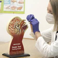 Swab Test Training Model For Health Education Health Edco