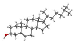 When to see a doctor. Cholesterol Wikipedia