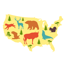 Mapa Ilustrado De Estados Unidos Descargar Png Svg Transparente Mapas Ilustrados Illustration Mapas
