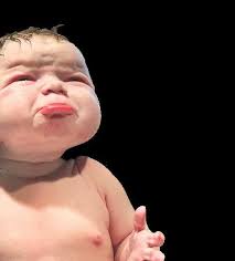 Mountain Xpress 01.15.25 by Mountain Xpress