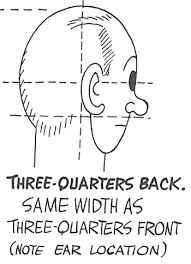 How To Draw Cartoon Heads Comic Faces From All Angles Views How To Draw Step By Step Drawing Tutorials Are you ready to learn how to draw a cartoon scientist? how to draw cartoon heads comic faces