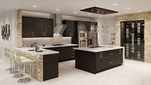 the best kitchen design ideas and