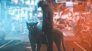 Download wallpaper images for osx, windows 10, android, iphone 7 and ipad. Black Panther And Hoodie Boy 4k Black Panther And Hoodie Boy 4k Wallpapers In 2021 Boys Hoodies Black Panther Panther