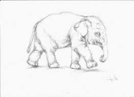 I used charcoal soft pencil in this painting.charcoal pencil i used : Pencil Drawing Images Animals Bestpencildrawing