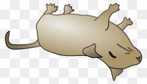 Dead Clipart Dead Mouse Dead Animal Cartoon Png Free Transparent Png Clipart Images Download Pin the clipart you like.
