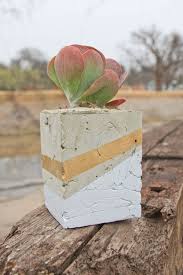 Clean and paint the containers and then dip them in the wet concrete mix and move them around to get some concrete to stick to the surface. Transformed Cement Planter Camille Styles