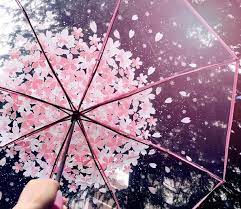 2022 trendy egirl outfits available at itgirl shop. Blue Pink Sakura Sun Rain 3 Fold Clear Umbrella Cp167530 Clearumbrella Umbrella Transparent Umbrella Clear Umbrella