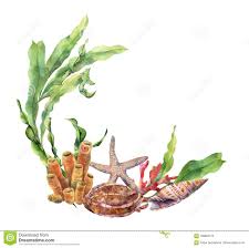 Watercolor Nautical Border With Coral Reef Hand Painted Underwater Illustration With Laminaria Branch Starfi Sea Creatures Art Coral Tattoo Wreath Watercolor