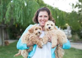 Live & train 24/7 with one of our top trainers for 2 weeks. Alys Puppy Bootcamp Dog Training Dog Behavior Classes Puppy Trainers Near Me
