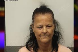 Sheila Wilkinson — Chatham County Jail Bookings