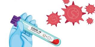 The two main branches detect either the presence of the virus or of antibodies produced in response to infection. Pemprov Dki Gunakan Serum Saat Proses Rapid Test Covid 19 Merdeka Com