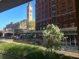 Reason Place Light Rail Stop Under Construction With The Sydney Central Yha And Central Station Quietly Looking On Central Station Light Rail Places