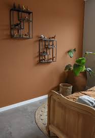 Pure Original Caramel Paint Brown Walls Living Room Room Wall Colors Living Room Paint
