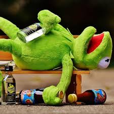 Funny Frog Doll Home Facebook