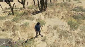 Content that includes other gta related games are not permitted. Steam Community Guide Peyote Plant Locations Guide