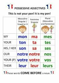 How To Say My With Singular And Plural Nouns French Flashcards French Language Lessons Gcse French