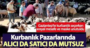 Gaziantep Te Kurbanlik Pazarlarinda Alici Da Satici Da Mutsuz