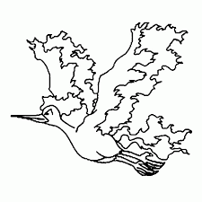 In galar, moltres has a similar build, but a drastically different color scheme. Moltres Coloring Pages Coloring Home