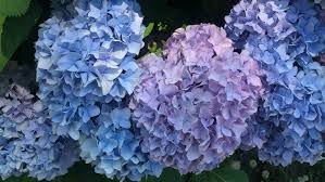 rahrahraskolnikov on Tumblr