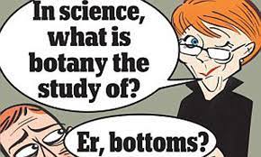 The 1960s produced many of the best tv sitcoms ever, and among the decade's frontrunners is the beverly hillbillies. Quiz Answers That Prove Britain Is Dumbing Down Daily Mail Online